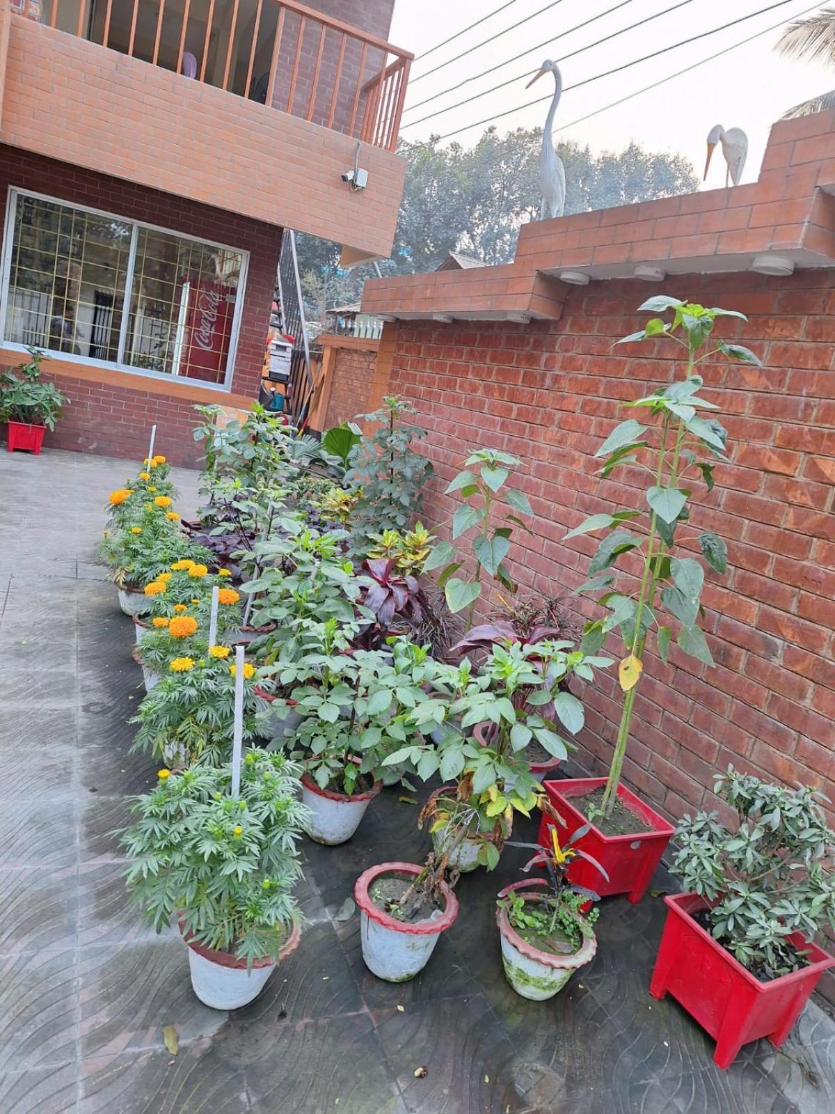 Little Rangpur Inn Ngoại thất bức ảnh