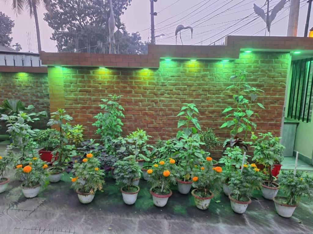 Little Rangpur Inn Ngoại thất bức ảnh