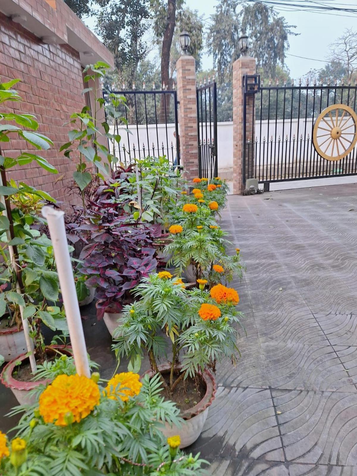 Little Rangpur Inn Ngoại thất bức ảnh